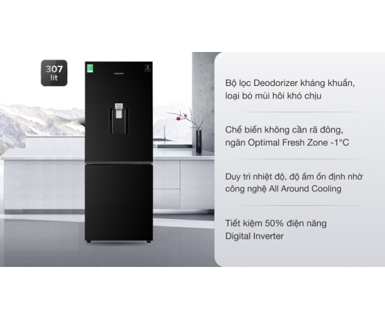 TỦ LẠNH SAMSUNG INVERTER 280L RB30N4170BU/SV